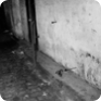 Místo činu Jana Zajíce na dobové fotografii, která je uložena ve vyšetřovacím spisu (Zdroj: ABS)
