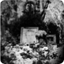 Jan Palach’s grave in the Olšany cemetery, 1969 (Source: ABS)