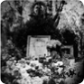 La tomba di Jan Palach al cimitero di Olšany, 1969 (Fonte: ABS)