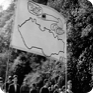 Traditional student May celebration in 1968 (Photograph by Miloš Šindelář)