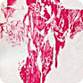 A book called Živé pochodně (Live Torches) was published by the Czechoslovak Club of Jan Palach in Zurych in 1980. (Source: Petr Blažek’s Personal Archives)