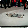 Na fotografii z miejsca protestu Phüncchoga widać interweniujących policjantów, którzy go ugasili (Źródło: Wikipedia Commons)