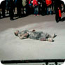 Na fotografii z místa Phüncchogova protestu jsou vidět zasahující policisté, kteří mladíka uhasili (zdroj: Wikipedia Commons)